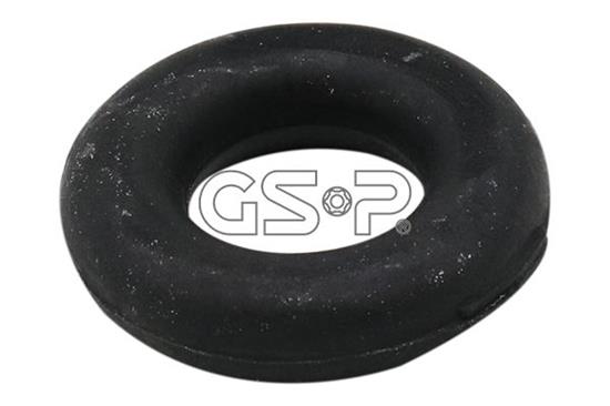 GSP-510171