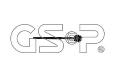 GSP-S030319